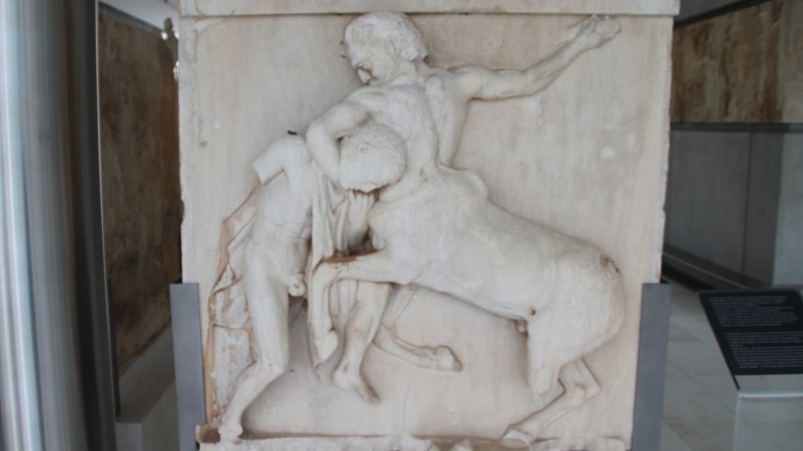 Metopa del Partenone con scena di Centauromachia conservata nel Museo dell'Acropoli